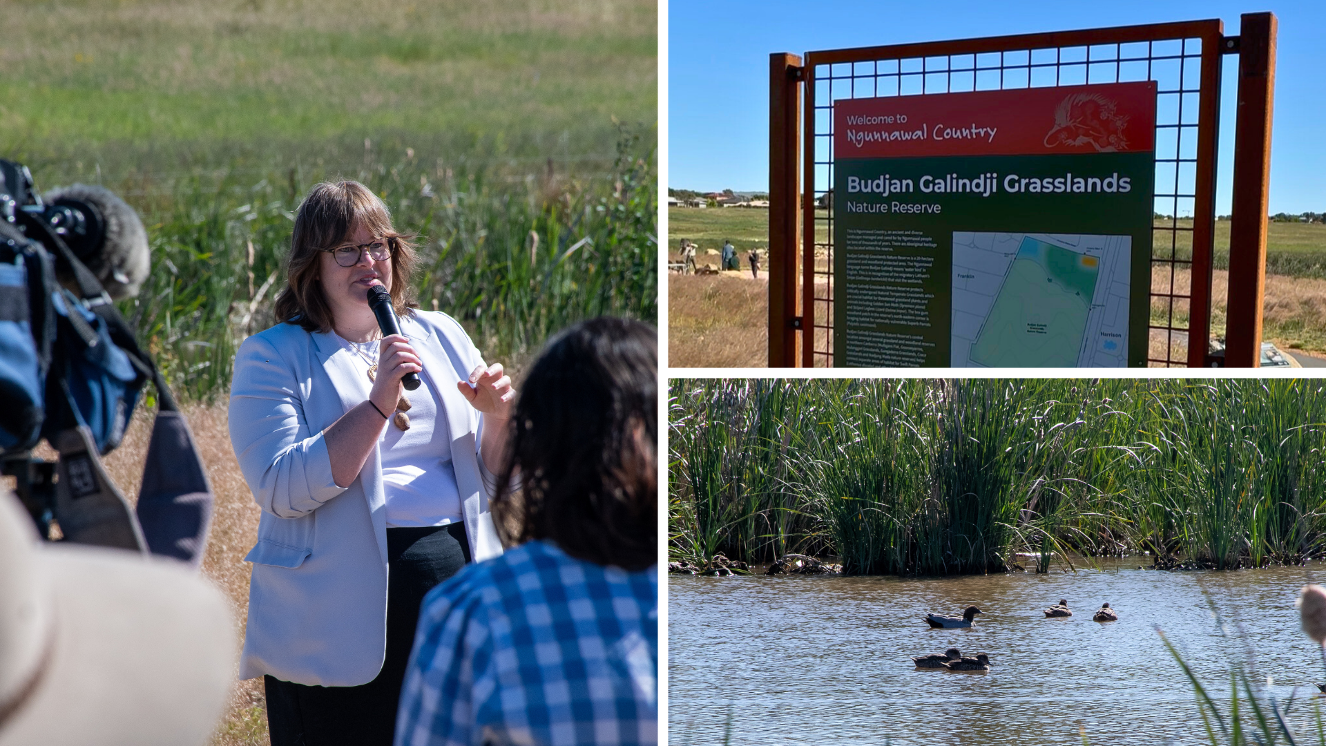 Nature reserve opens in Franklin Main Image