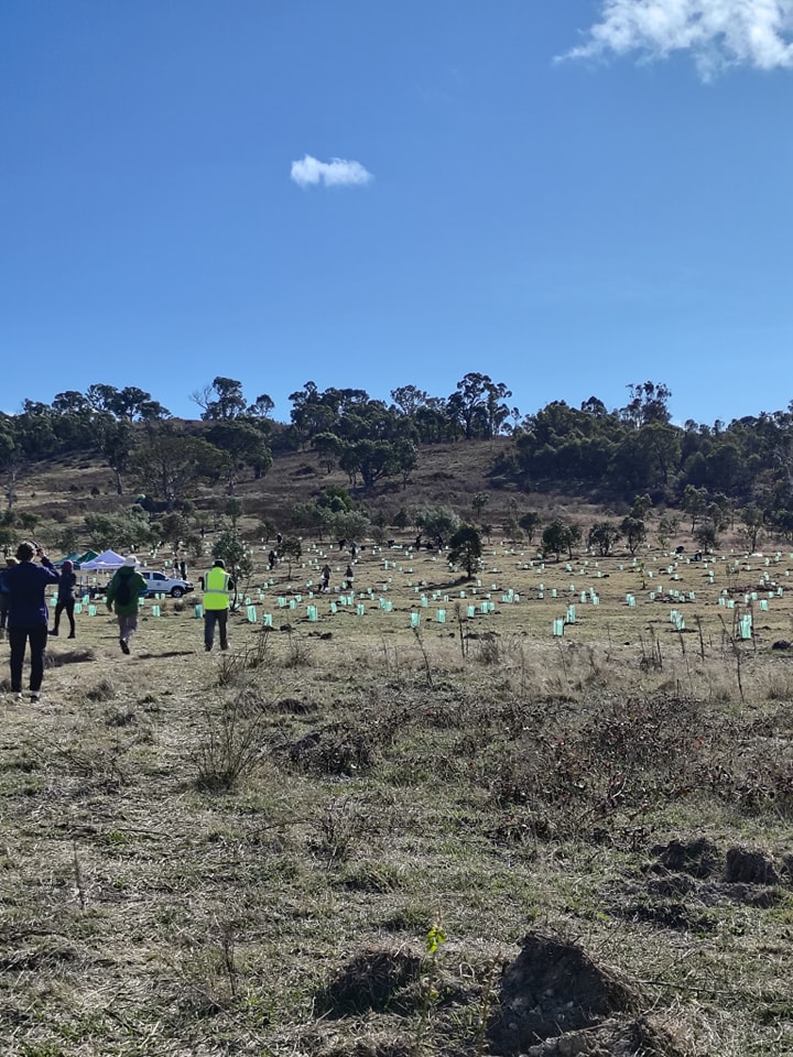 Next steps on emissions reduction and climate adaptation Main Image