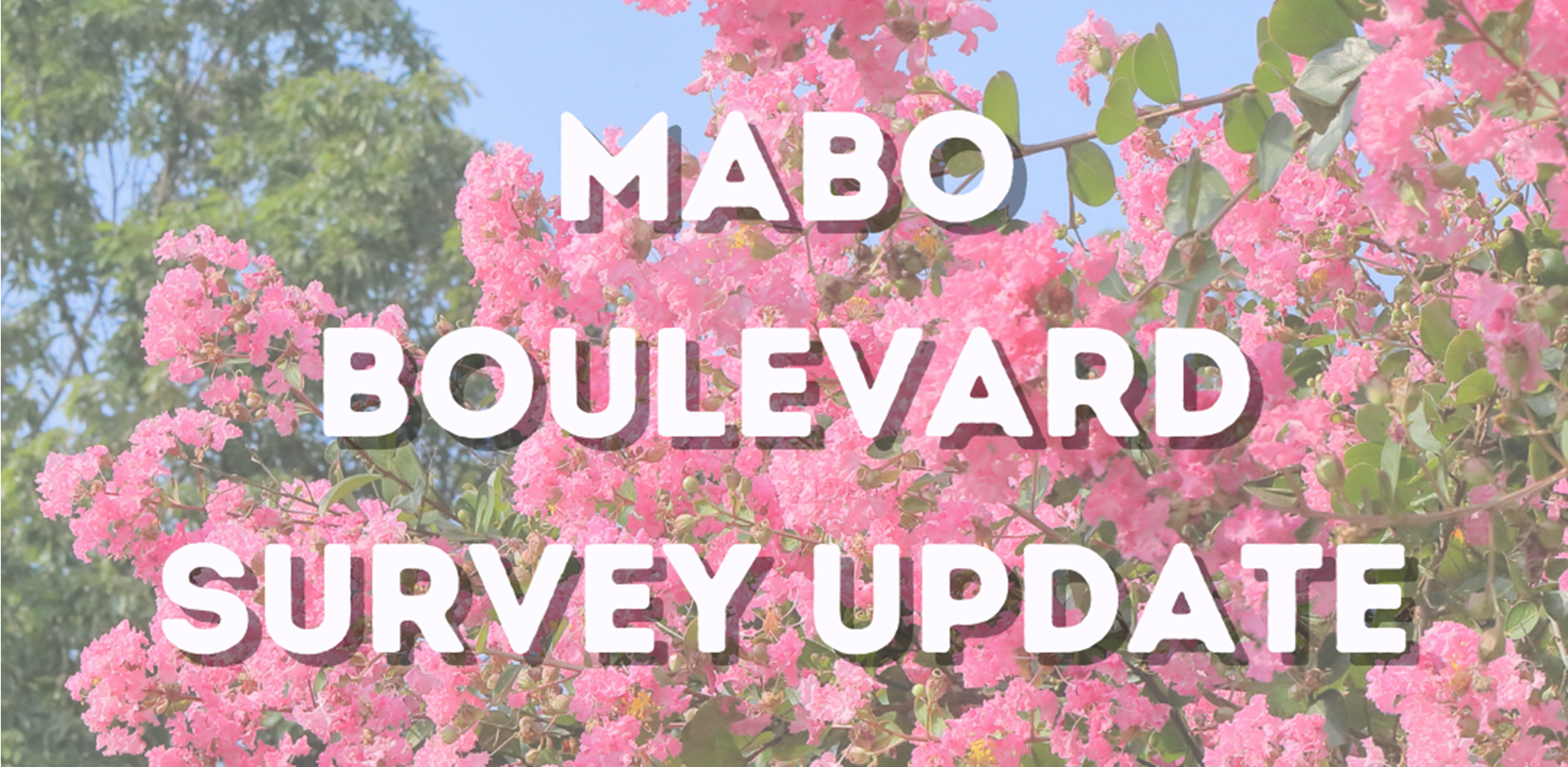 Mabo Boulevard Survey Main Image